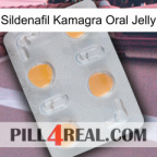 Sildenafil Kamagra Oral Jelly 24